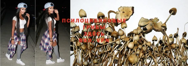 ешки Армянск