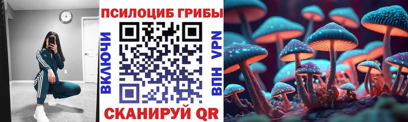 купить наркотик  Тимашёвск  MEGA ССЫЛКА  Псилоцибиновые грибы Psilocybine cubensis 